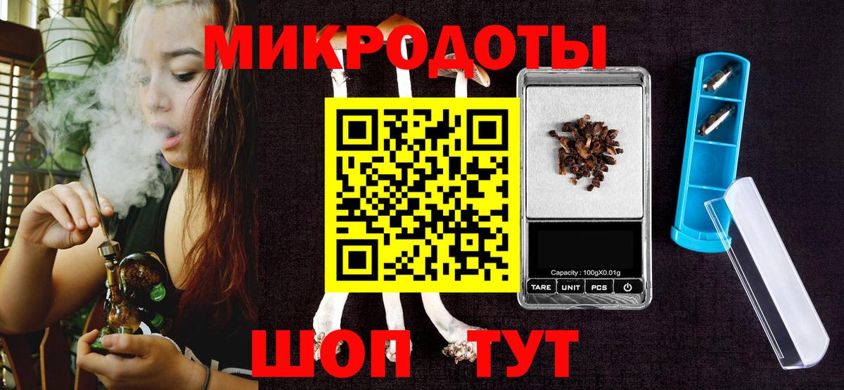 Галлюциногенные грибы Psilocybe Минусинск