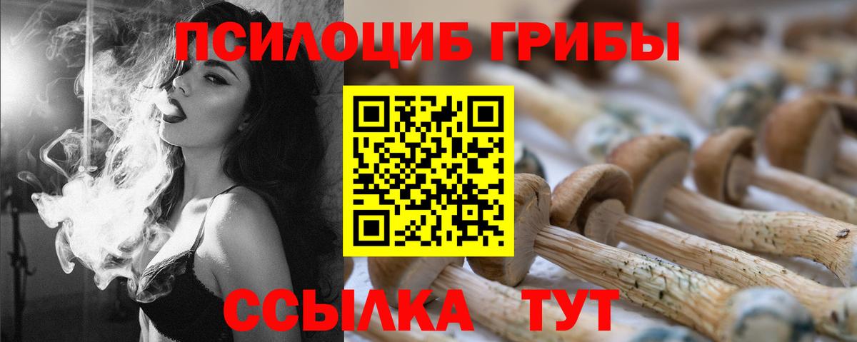 Галлюциногенные грибы Magic Shrooms  Галлюциногенные грибы мицелий  Минусинск  магазин    Вход с VPN 